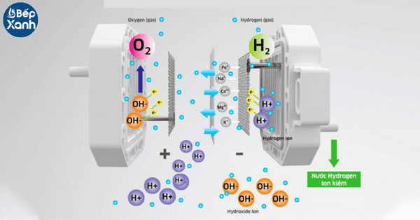 Tìm hiểu về công nghệ điện giải trong máy lọc nước điện giải ion kiềm